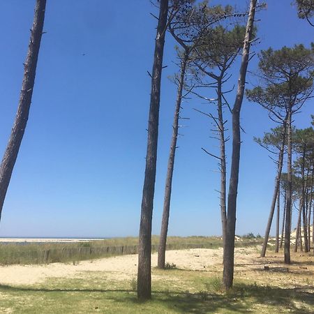 Appartement Spacieux Arcachon Exteriér fotografie