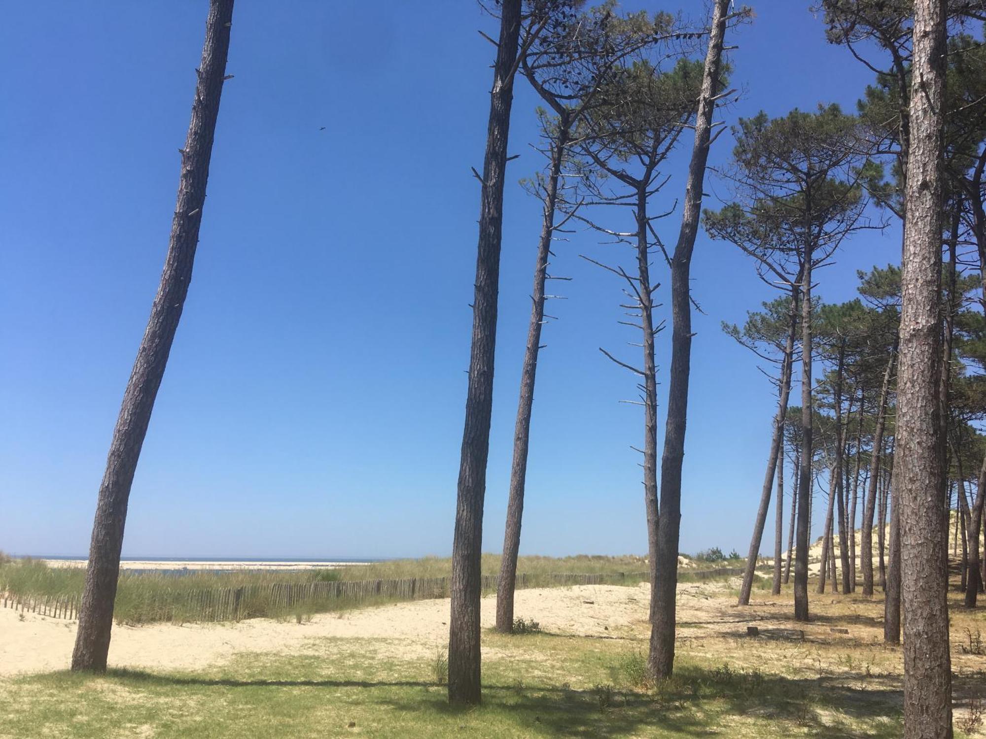 Appartement Spacieux Arcachon Exteriér fotografie